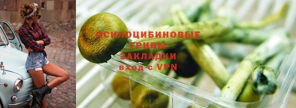 гашиш Новодвинск
