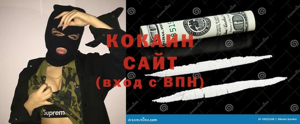 стаф Нея