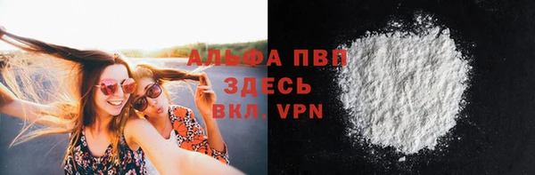 тгк Новозыбков