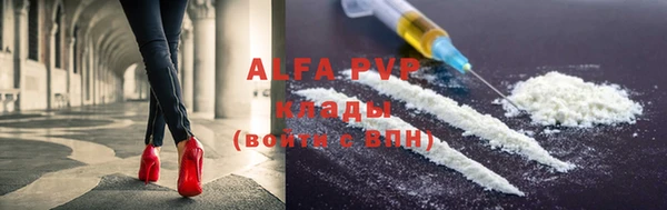 тгк Новозыбков