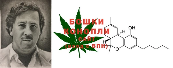 тгк Новозыбков