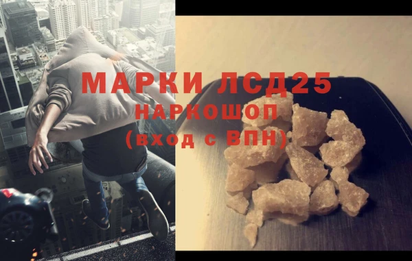тгк Новозыбков