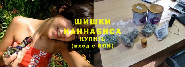 тгк Новозыбков