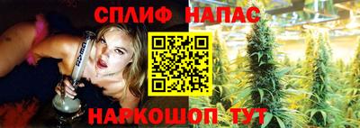 сатива Абакан