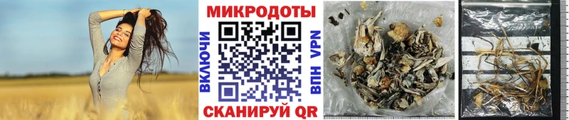 Псилоцибиновые грибы Magic Shrooms  omg маркетплейс  Переславль-Залесский 