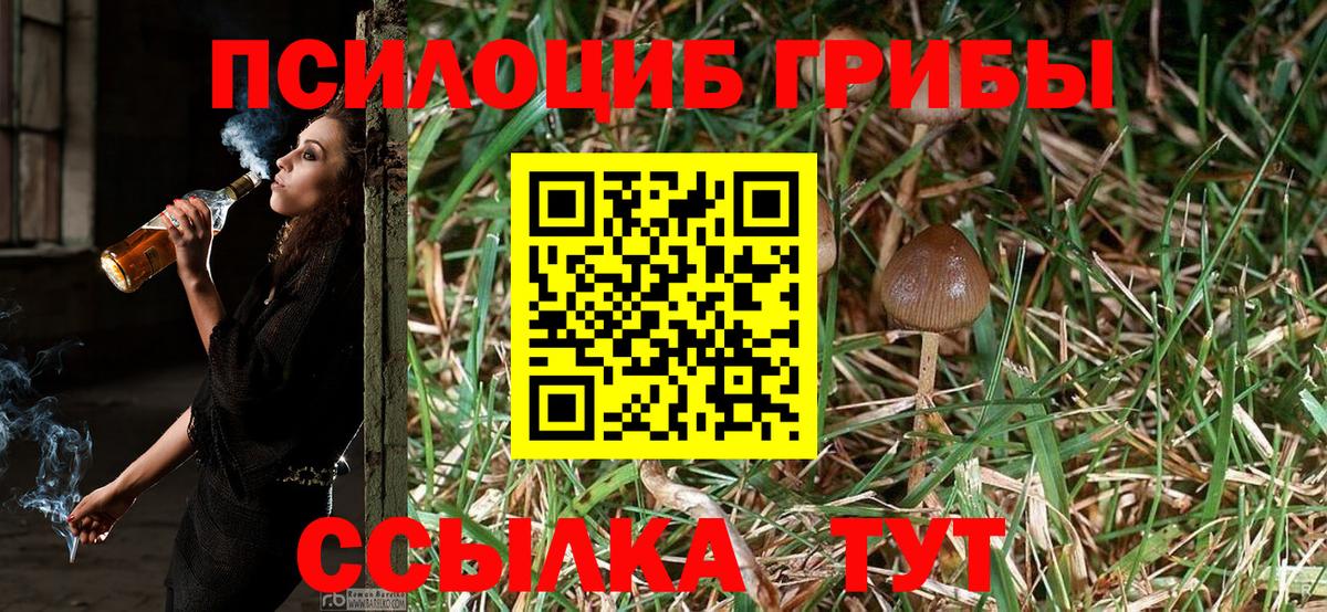 Псилоцибиновые грибы Psilocybe Переславль-Залесский