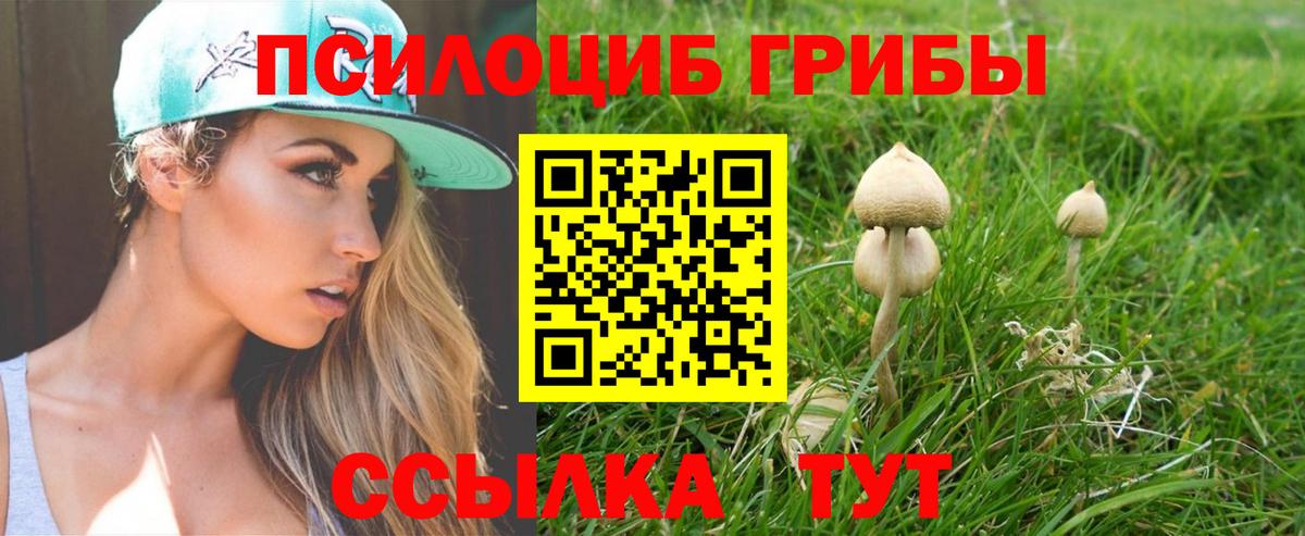 Галлюциногенные грибы Psilocybe Переславль-Залесский