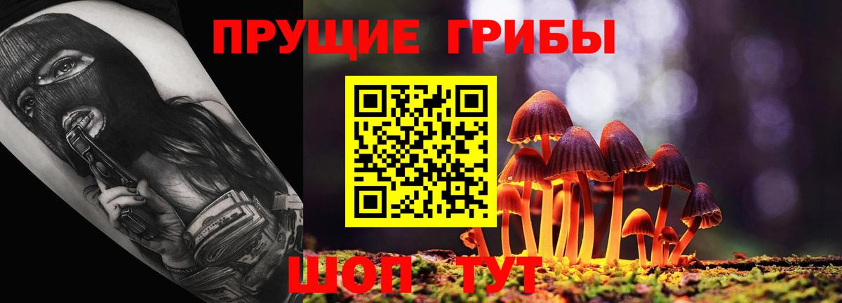 дарнет шоп  Галлюциногенные грибы Psilocybe  Вход с VPN  Переславль-Залесский 